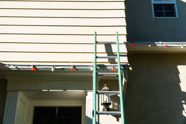 Best Historical Building Siding Restoration  in Darien, WI